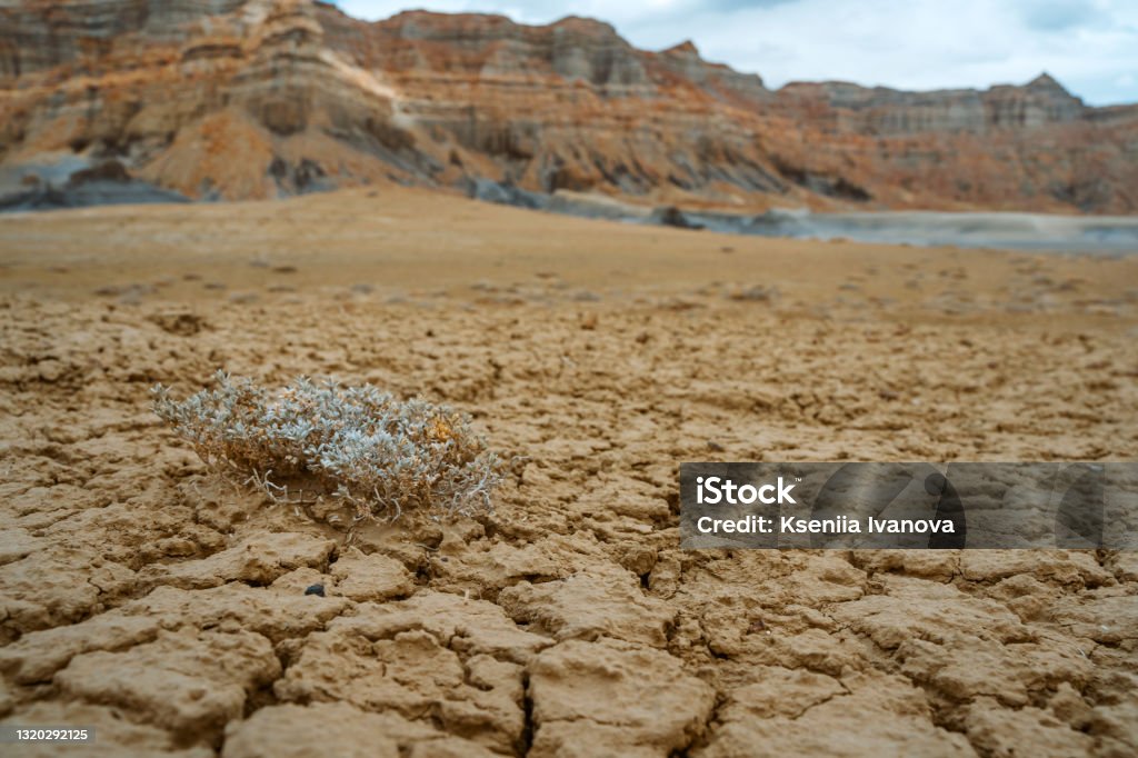Background of dry soil with cracks, Utah, USA